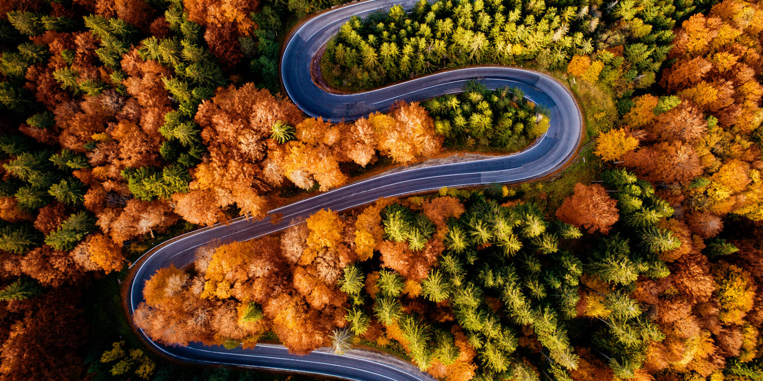 Bochten bos van boven Bochten bos van boven