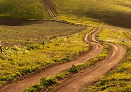 Strategie-bepalen-vind-de-weg-naar-groei