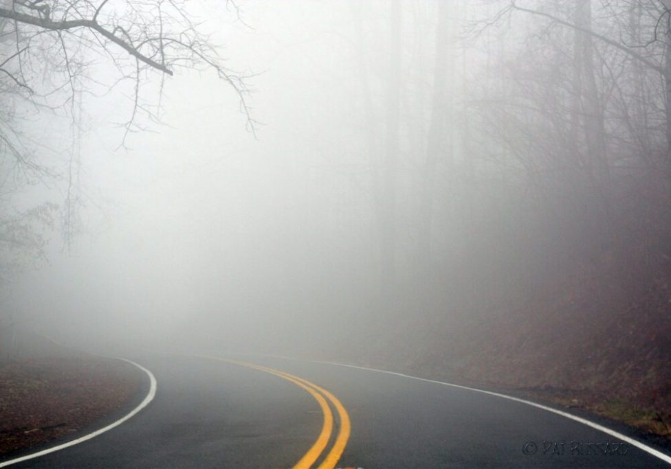 foggy+road