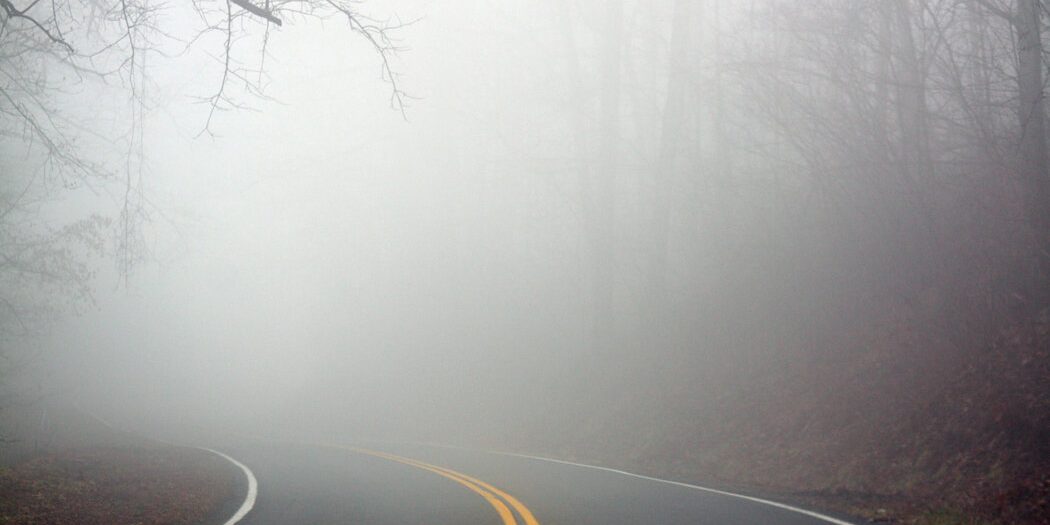 foggy+road
